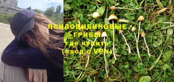 прущая мука Володарск